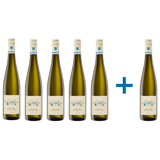 Blanc de Noirs Georg Mosbacher trocken