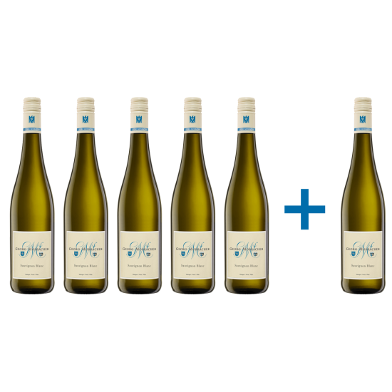 Sauvignon Blanc Pfalz Georg Mosbacher trocken