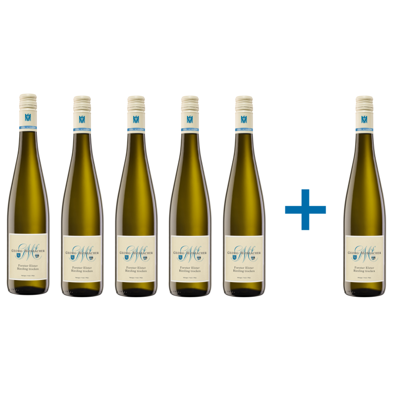 Blanc de Noirs Georg Mosbacher trocken