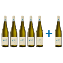 Sauvignon Blanc trocken - 2023 - 5+1